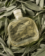 17:17 Reed diffuser - Image 4