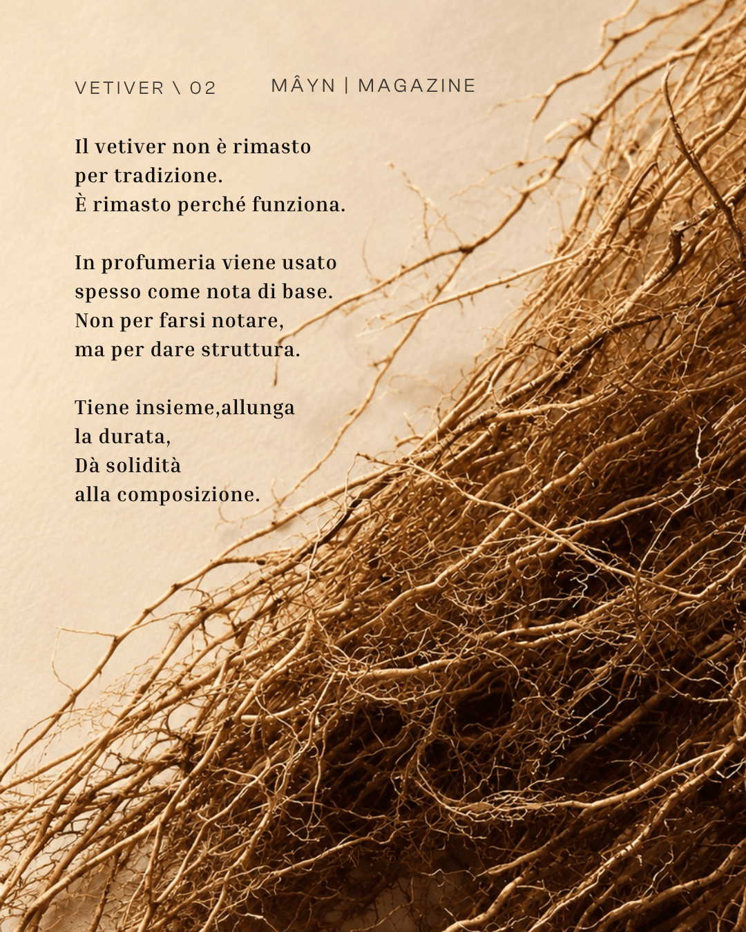 Not the note you smell first. The one that remains. A deep root. Timeless.