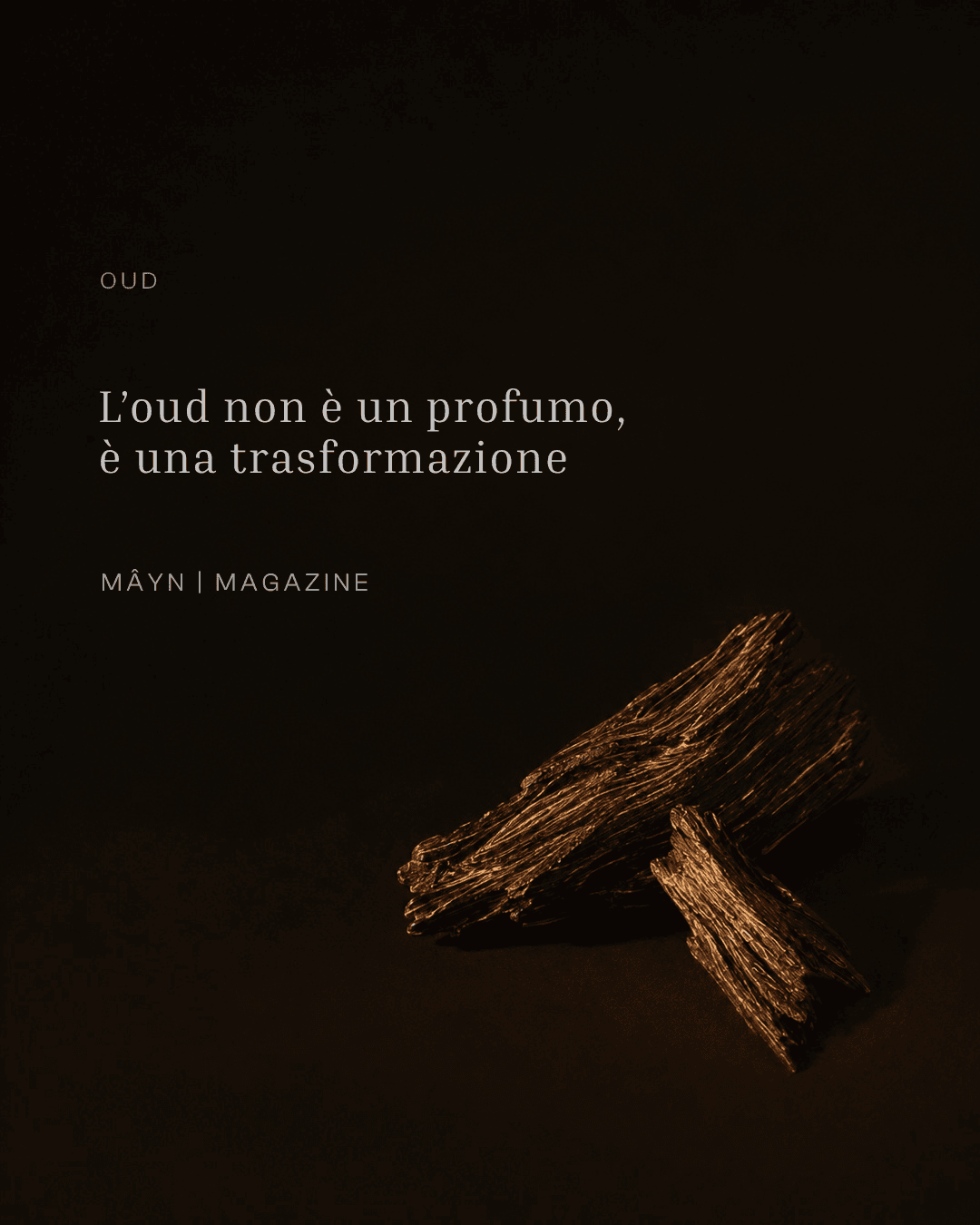 La materia più costosa della profumeria. Nata per caso, in silenzio, nel legno.