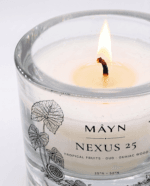 Nexus 25 Candela - immagine 3